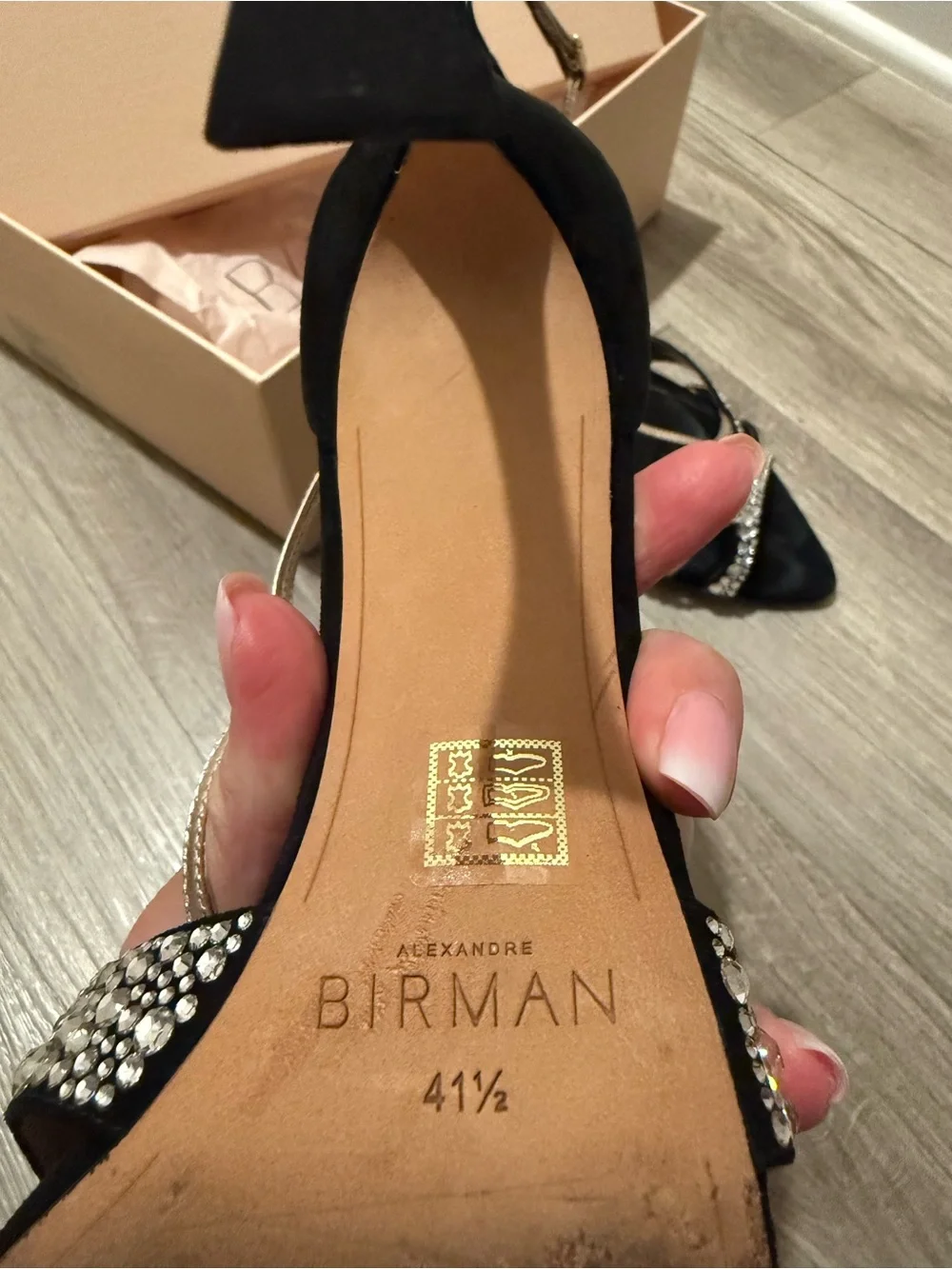 Alexandre Birman chic black